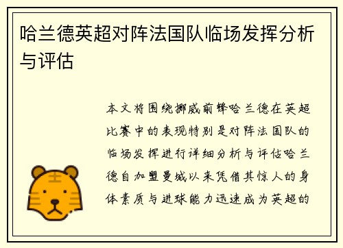 哈兰德英超对阵法国队临场发挥分析与评估
